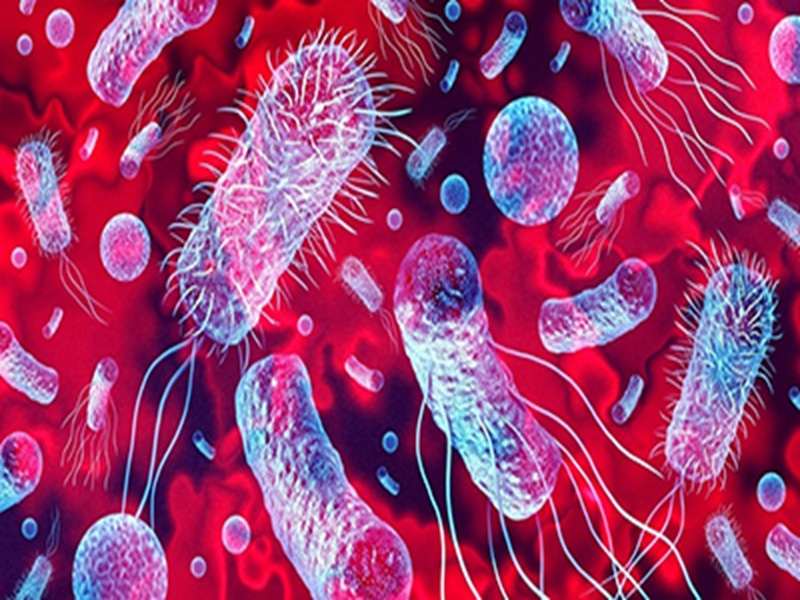 Sepsis ve Sağlık Bakımı İlişkili Enfeksiyonlar