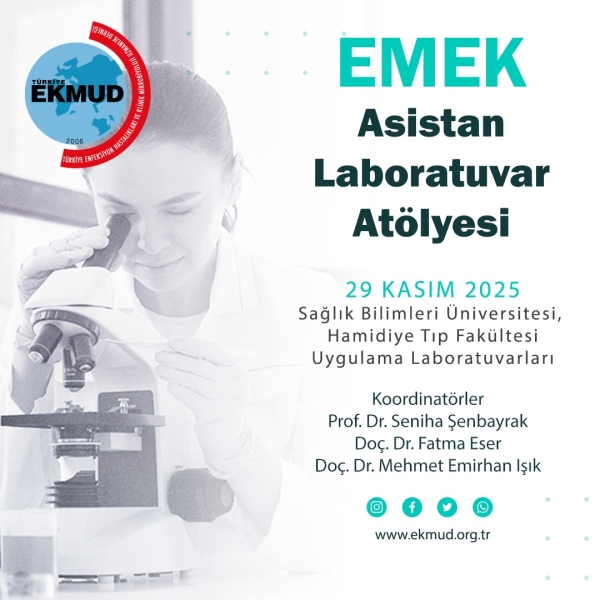 asistanatolyesi29ekim2025