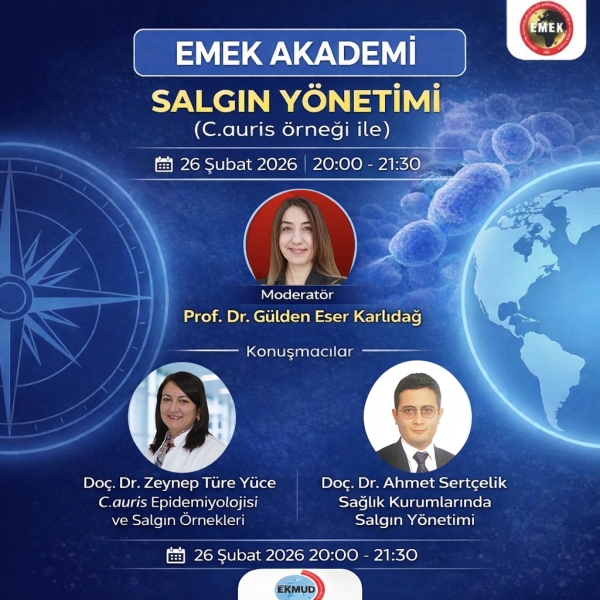 emekakademi26022026s