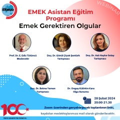 Emek Gerektiren Olgular (EGO)